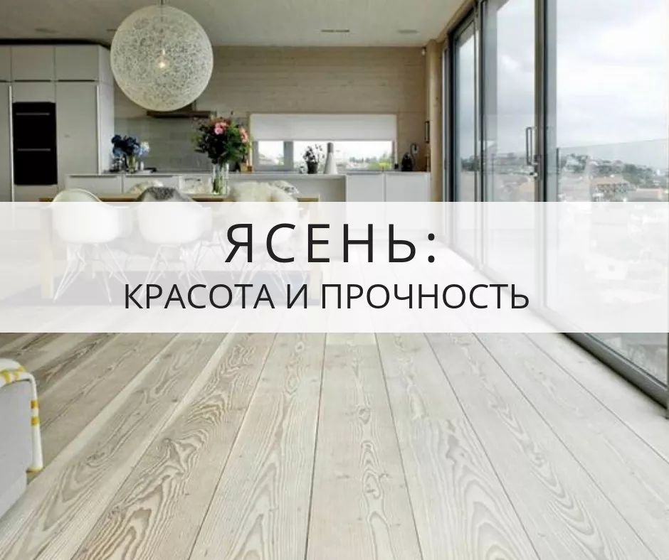 Ясень